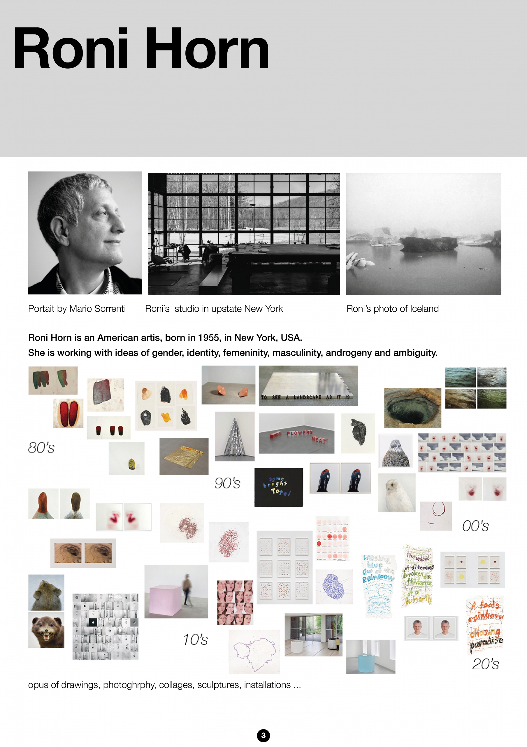 Archive for Roni Horn