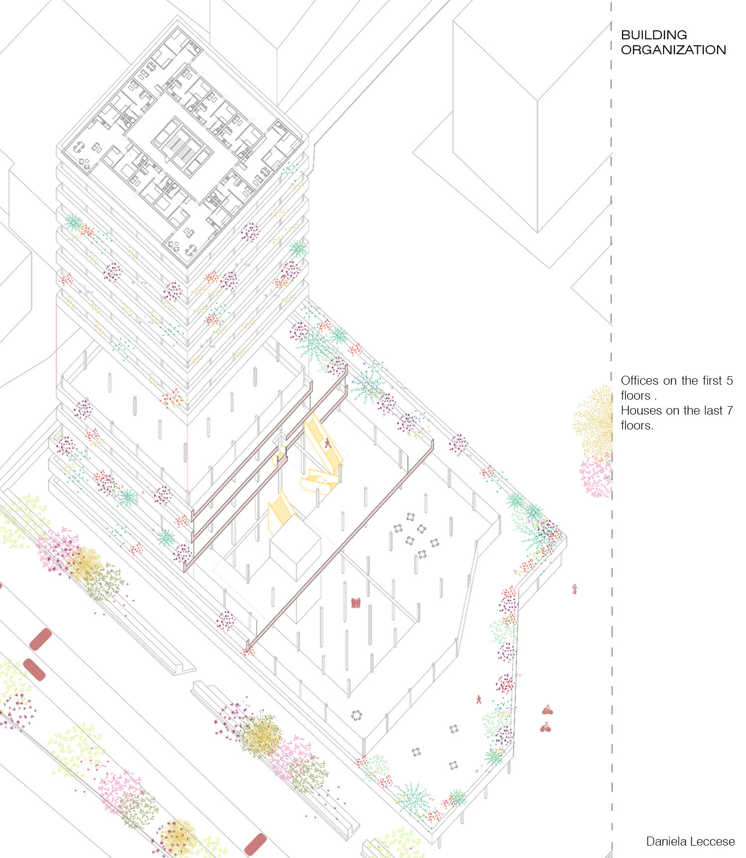 Layout1