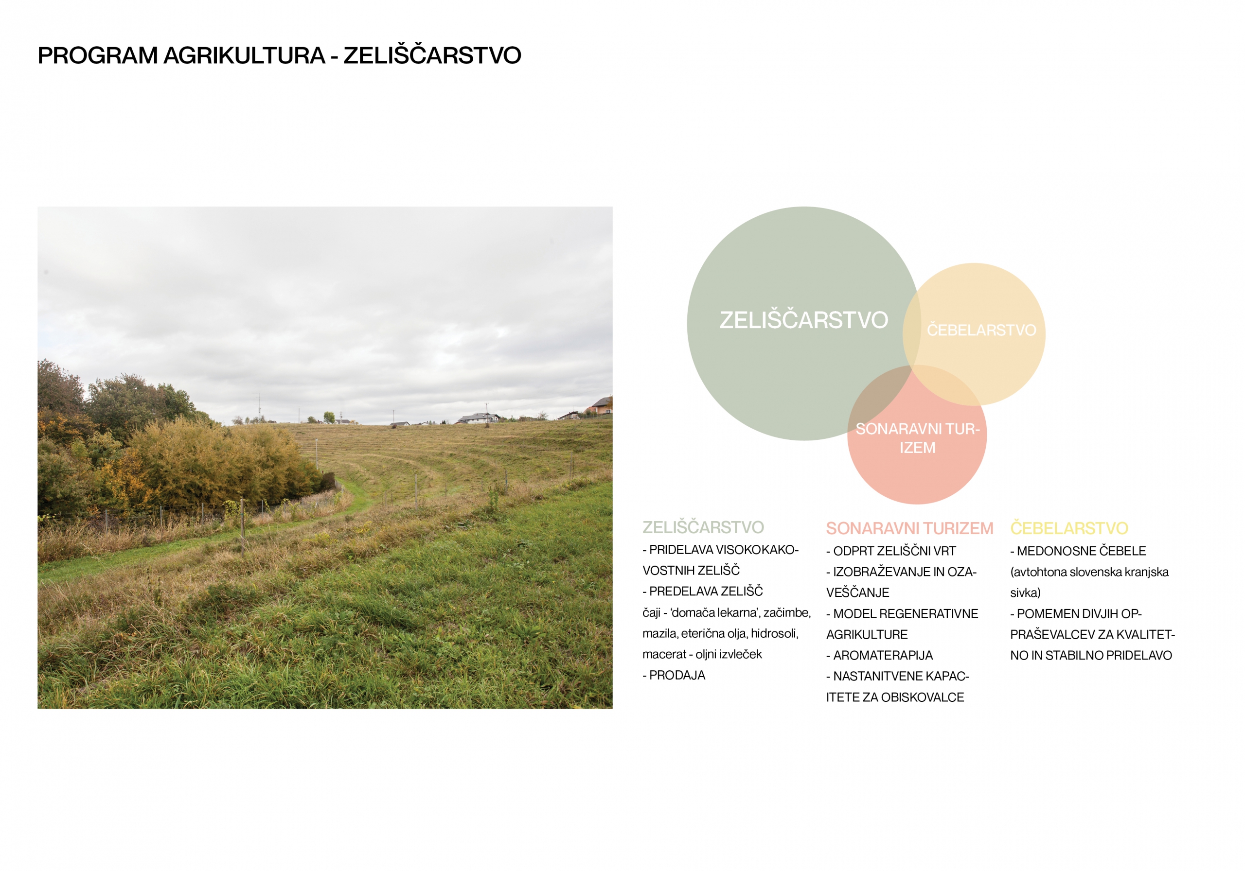 Projekt Zeliščarna Simbioza Programov 01