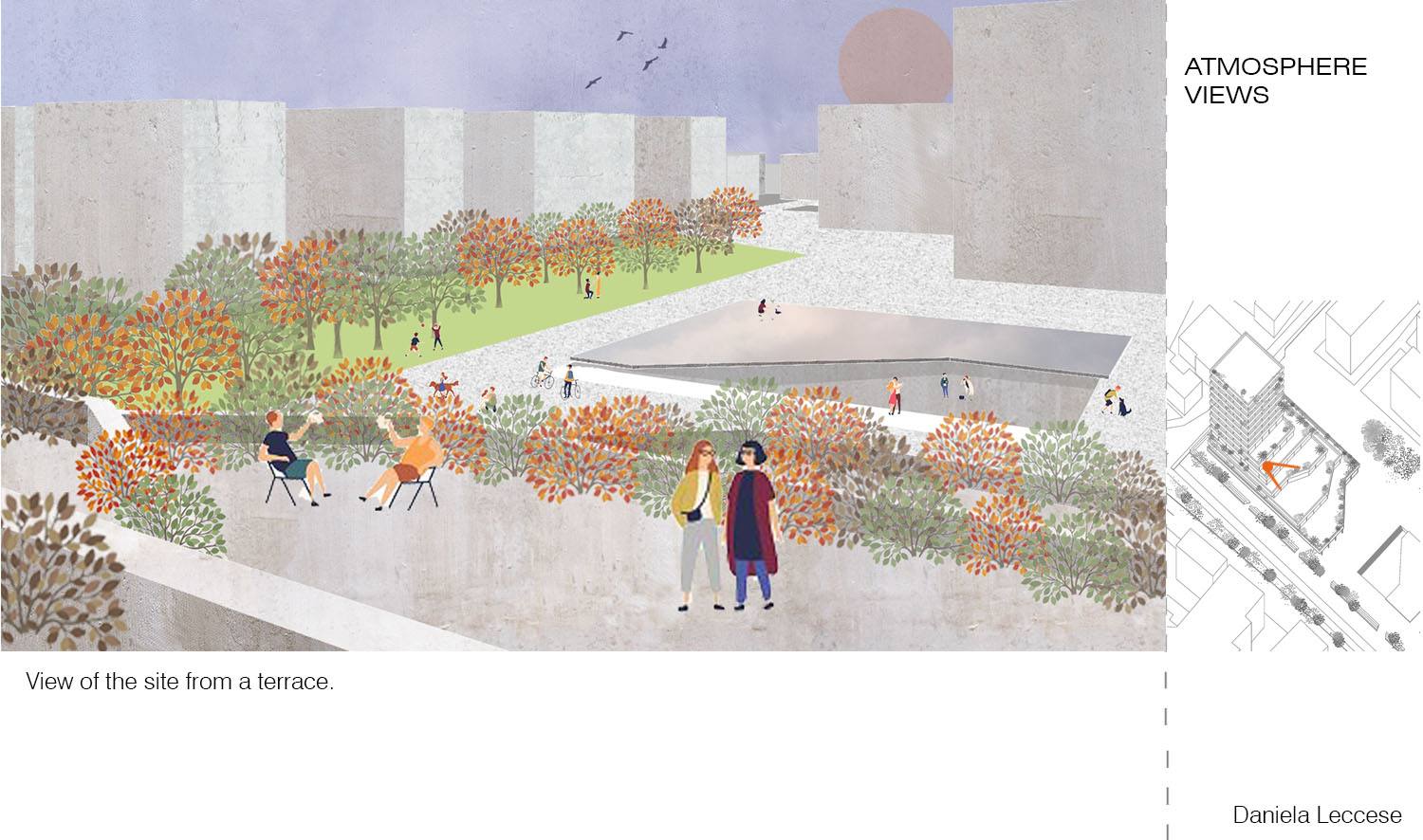 Layout1