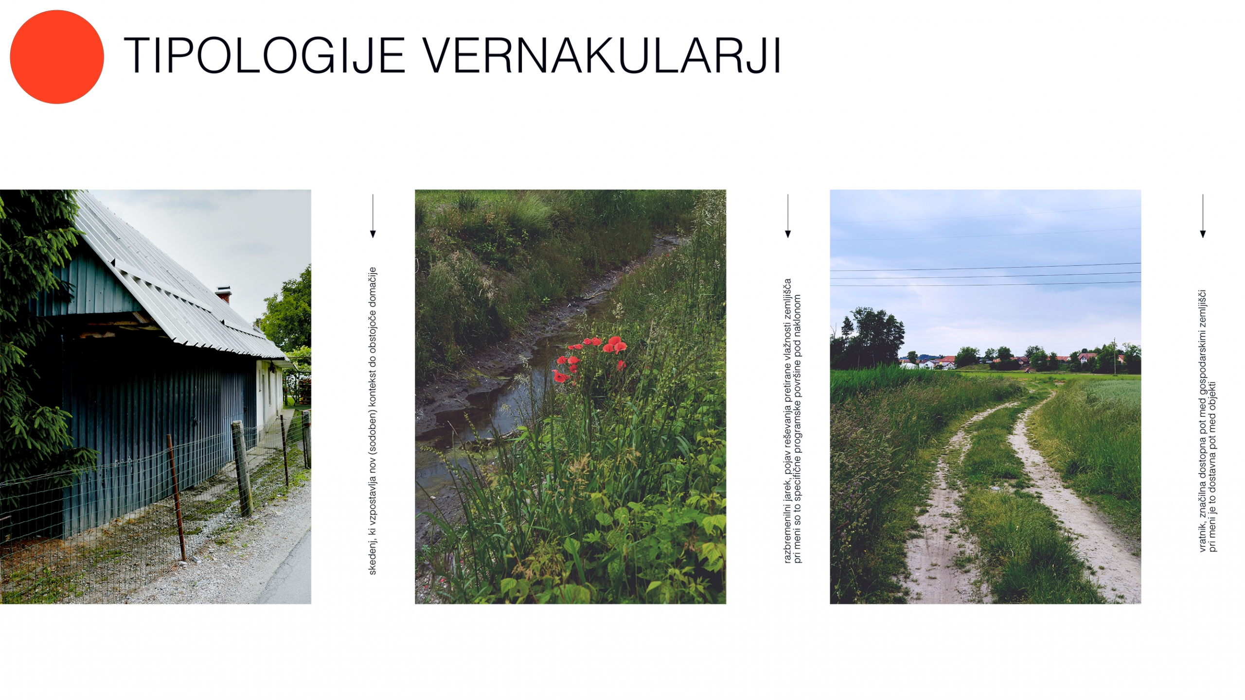 tipologije vernakularji